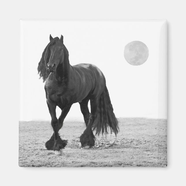 Imã Cavalo perfeito (Frente)