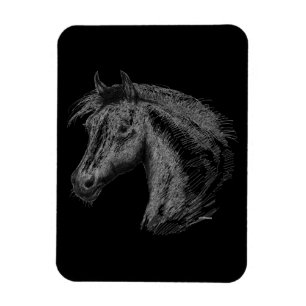 Ímã Cavalo:  Preto