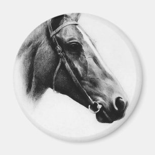 Imã Cavalo Preto e Branco