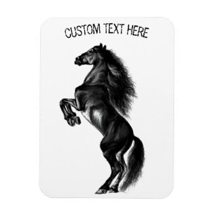 Ímã Cavalo Preto e Preto - Desenho Preto e Branco
