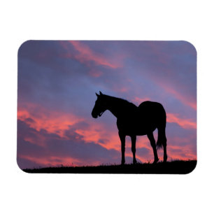 Ímã Cavalo Puro-Sangue Silhuetado ao Nascer do Sol