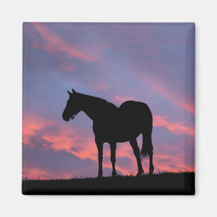 Imã Cavalo Puro-Sangue Silhuetado ao Nascer do Sol