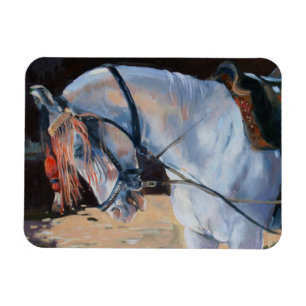 Ímã Cavalo Rajasthan 2010 de Marwari