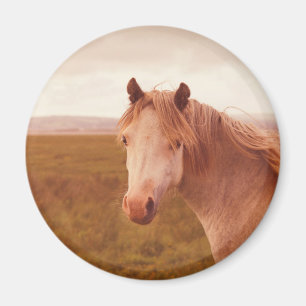 Imã Cavalo selvagem vintage