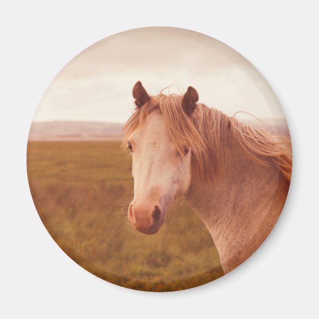 Imã Cavalo selvagem vintage (Frente)