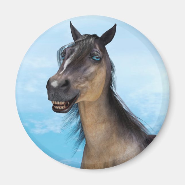 Imã Cavalo Sorridente (Frente)