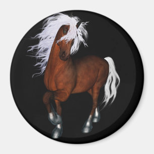 Imã Cavalo surpreendente