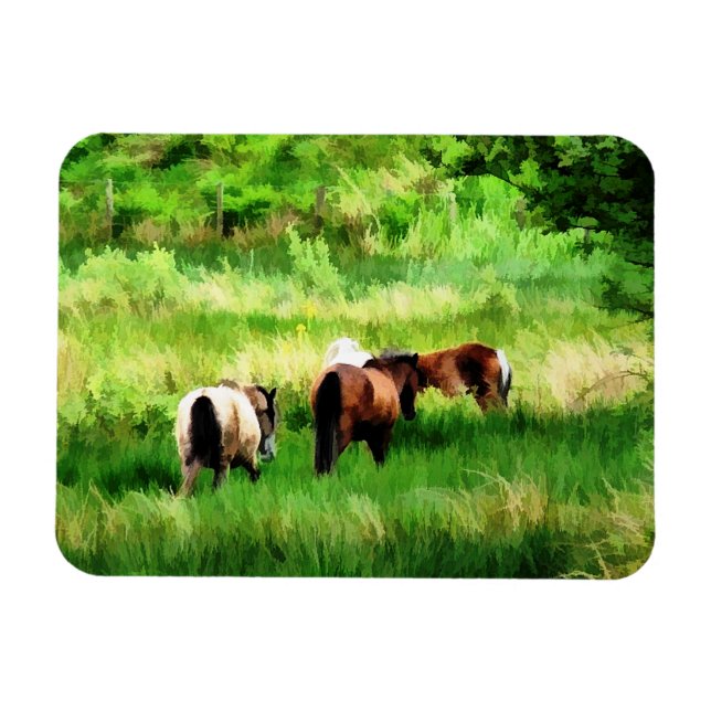 ÍMÃ CAVALOS (Horizontal)