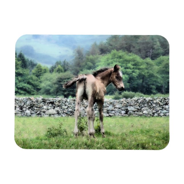 ÍMÃ CAVALOS (Horizontal)