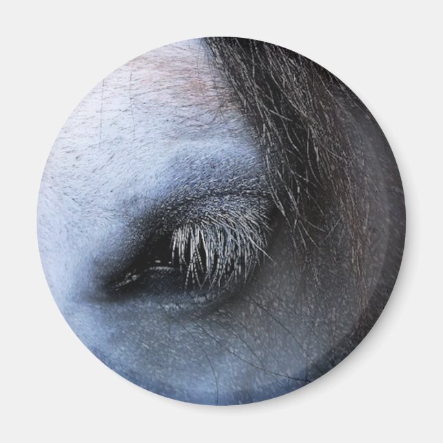 IMÃ CAVALOS (Frente)