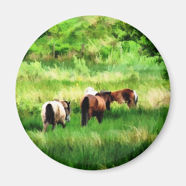 IMÃ CAVALOS (Frente)