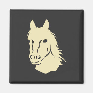Imã Cavalos