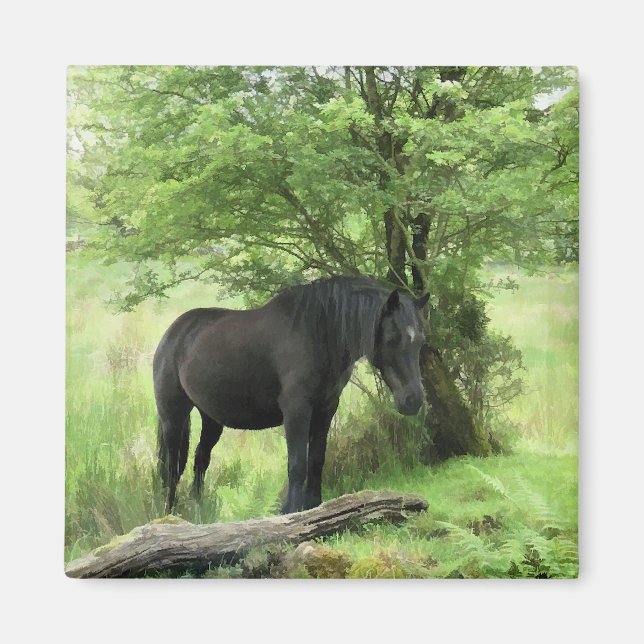 IMÃ CAVALOS (Frente)