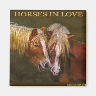 IMÃ CAVALOS APAIXONADOS