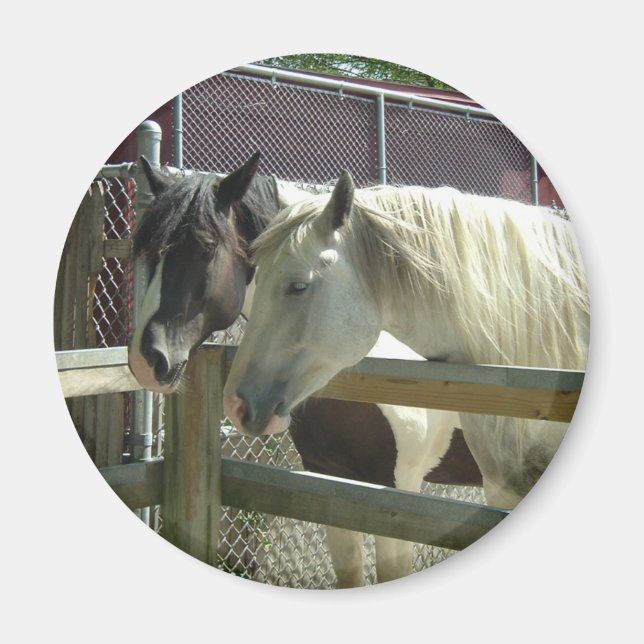 Imã Cavalos bonito (Frente)