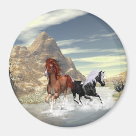 Imã Cavalos correndo