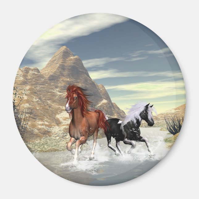 Imã Cavalos correndo (Frente)