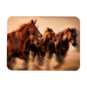 Ímã Cavalos correndo, borrão e crinas voando