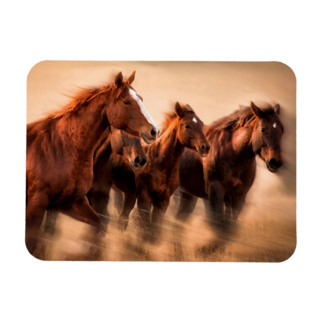 Ímã Cavalos correndo, borrão e crinas voando (Horizontal)