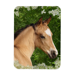 Ímã Cavalos da fantasia: Flores