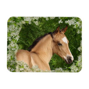 Ímã Cavalos da fantasia: Flores