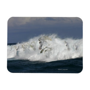 Ímã Cavalos da fantasia: Mar