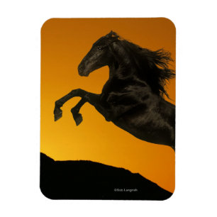Ímã Cavalos da fantasia: Por do sol da montanha