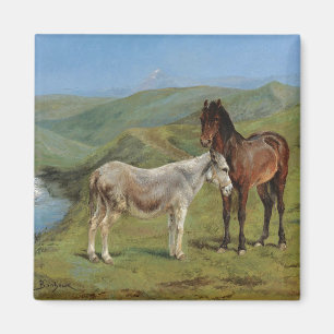 Imã Cavalos de Cinza clara num campo (Equine Fazenda A