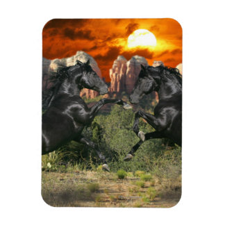 Ímã Cavalos de Fantasia: Magia Negra
