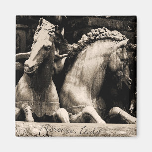 Imã Cavalos de Florença, Italia