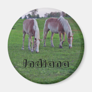 Imã Cavalos de Indiana