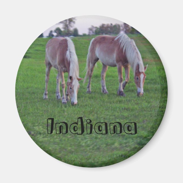 Imã Cavalos de Indiana (Frente)
