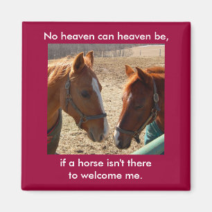 Imã Cavalos do anjo - ímã