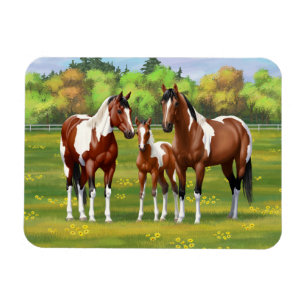 Ímã Cavalos Do Quarto De Pintura De Bay Em Pastagem De