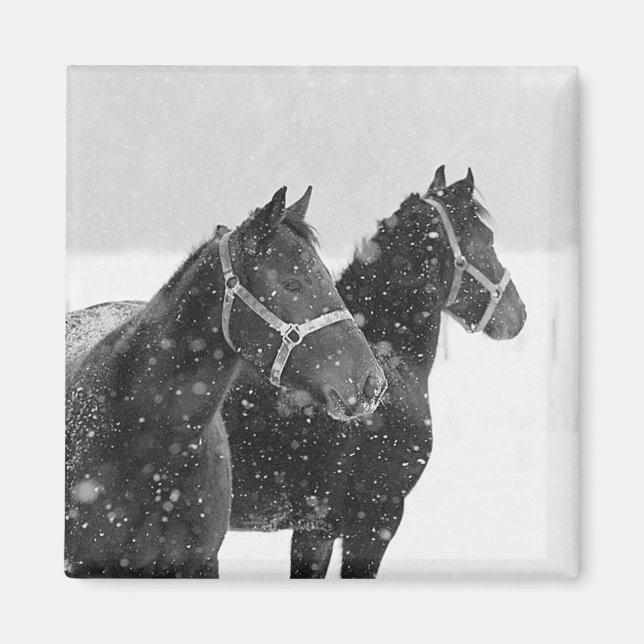 Imã Cavalos em neve (Frente)