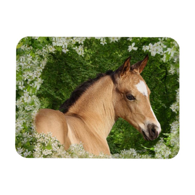 Ímã Cavalos Fantásticos: Flores (Horizontal)