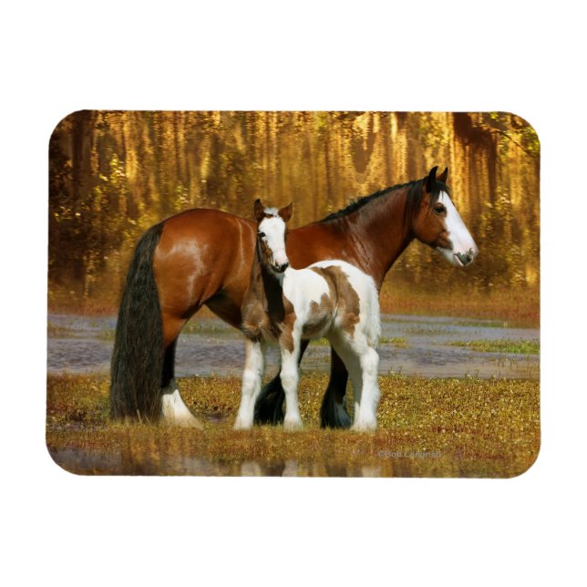 Ímã Cavalos Fantásticos: Mare & Foal (Horizontal)