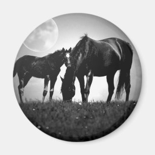 Imã Cavalos & lua