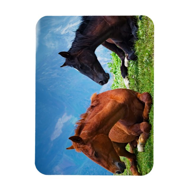 Ímã Cavalos Moody Mountain: Uma Arte Refinada  (Vertical)