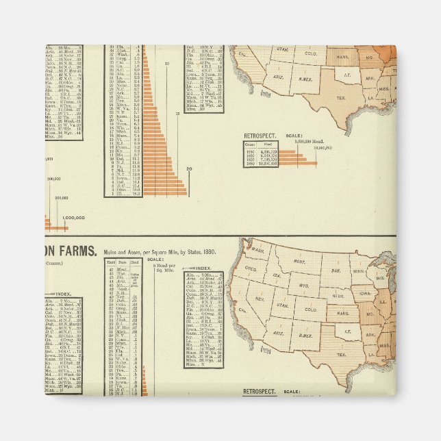 Imã Cavalos, mula, asinina, ovelha (Frente)