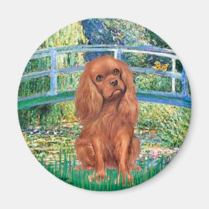 Imã Cavavlier (Ruby7) - Ponte