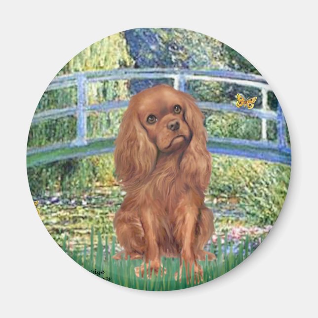 Imã Cavavlier (Ruby7) - Ponte (Frente)