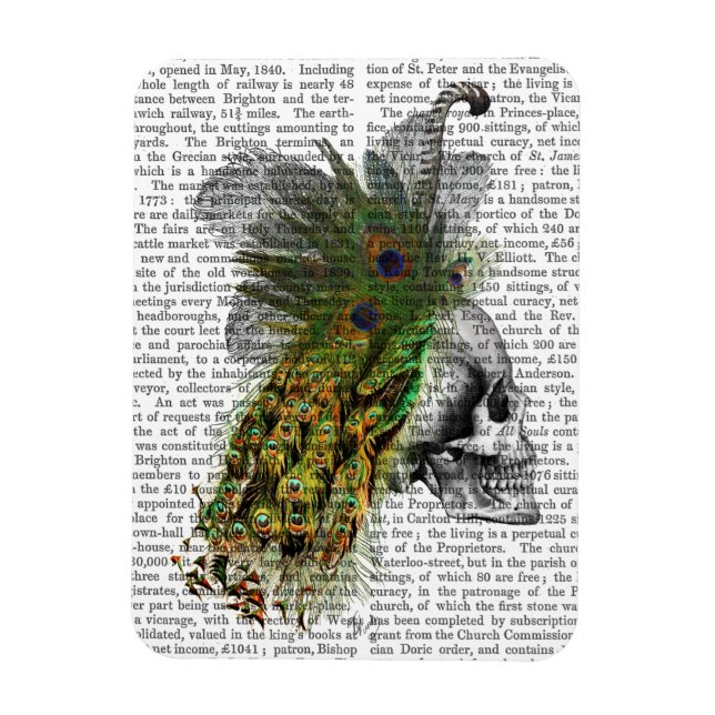 Ímã Caveira Com Cabeça De Pé (Vertical)