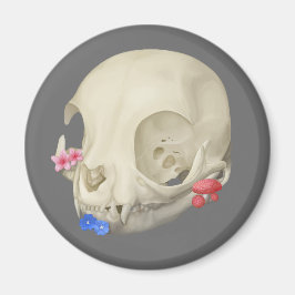 Imã Caveira De Gato Com Flora