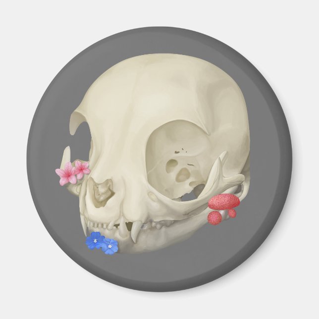 Imã Caveira De Gato Com Flora (Frente)