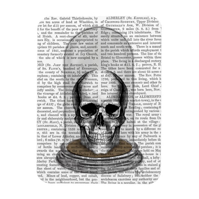 Ímã Caveira No Jato 2 (Vertical)