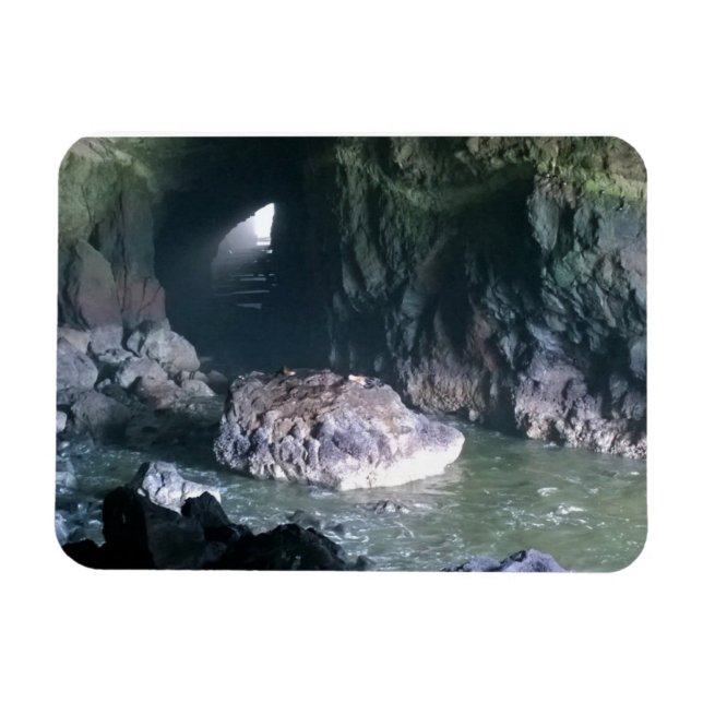 Ímã Caverna de Leão Marítimo, OR (Horizontal)
