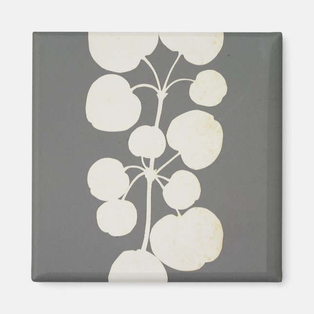 Imã Cayenne Pepper (Frente)