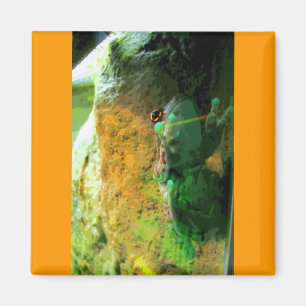 Imã CB de escalada do sapo