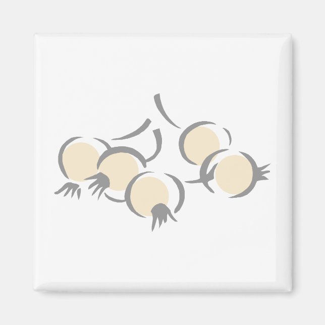 Imã Cebolas (Frente)